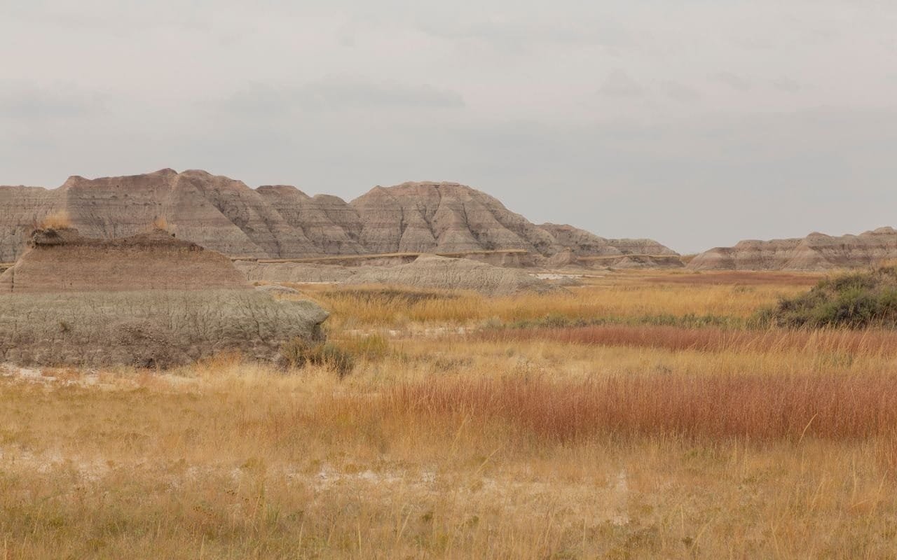 Group Flight Tickets to South Dakota